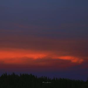 2021国产激情视频在线观看
