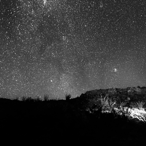 2021国产激情视频在线观看
